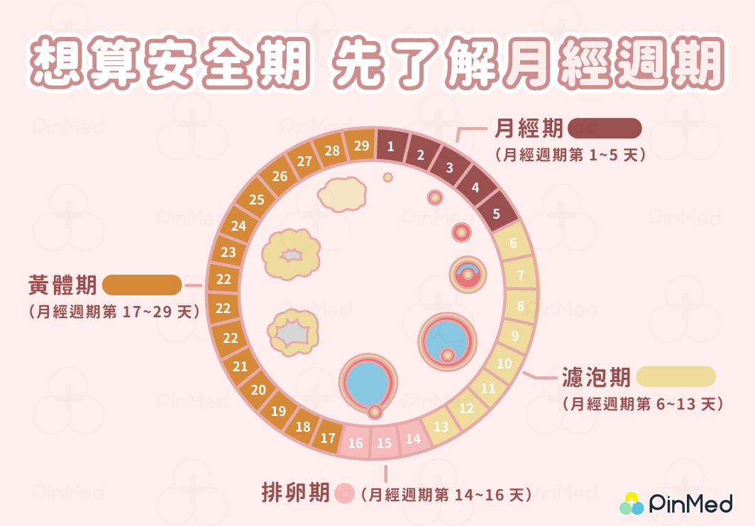 安全期-月經週期