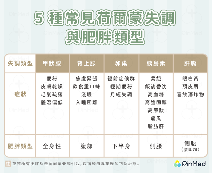 焦慮變胖又長痘　我是荷爾蒙失調了嗎？