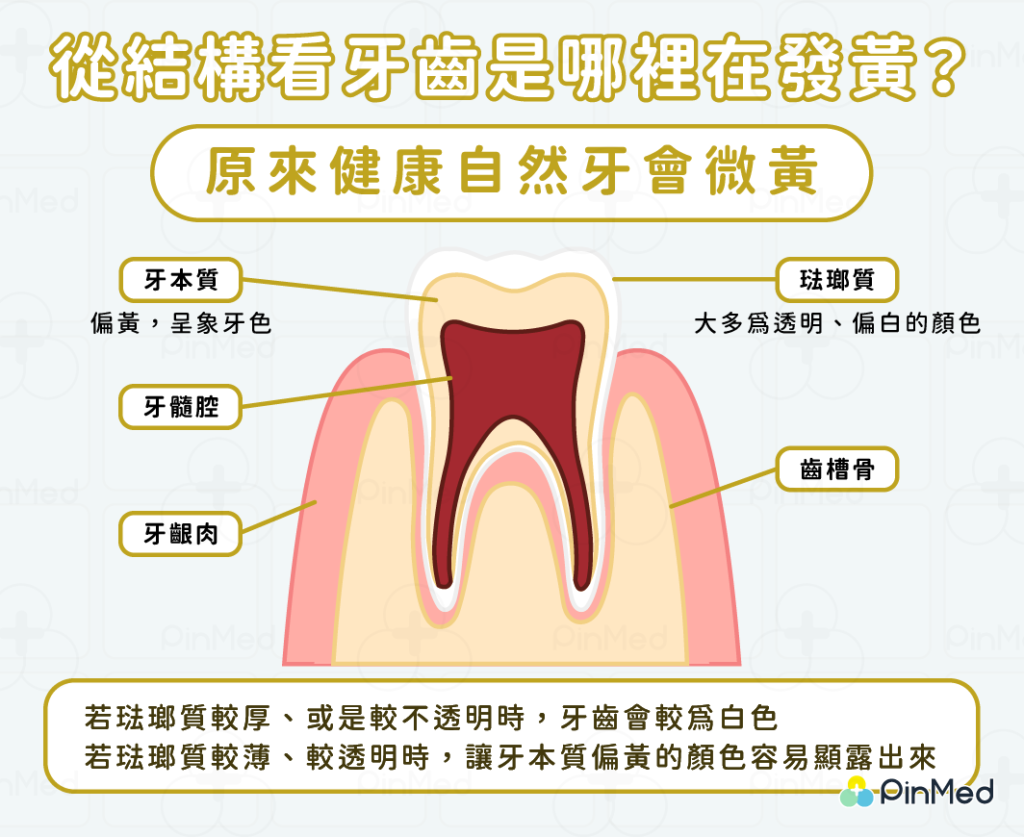 牙齒黃