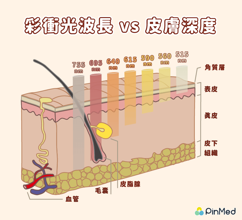 紅極一時的「彩衝光」是什麼？和脈衝光差在哪裡？原理、適合人群、價格一文解密