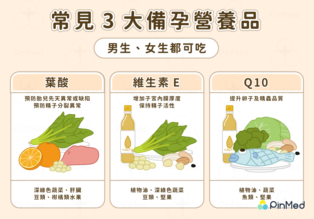 常見3大備孕營養品，男生、女生都可吃