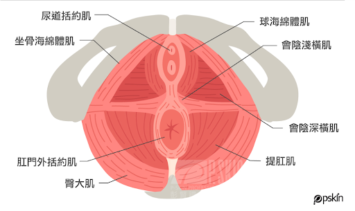 G動椅