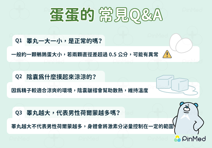 蛋蛋的常見Q&A