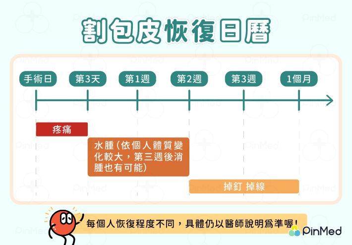 割包皮後，術後疼痛約1～3天，第三天開水水腫，持續約2星期。術後2星期開始掉釘、掉線。