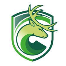 company-logo