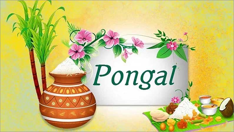 Pongal fervour at a high for TN brands despite cyclone dampener