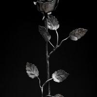 Black wrought iron roses on black bacground