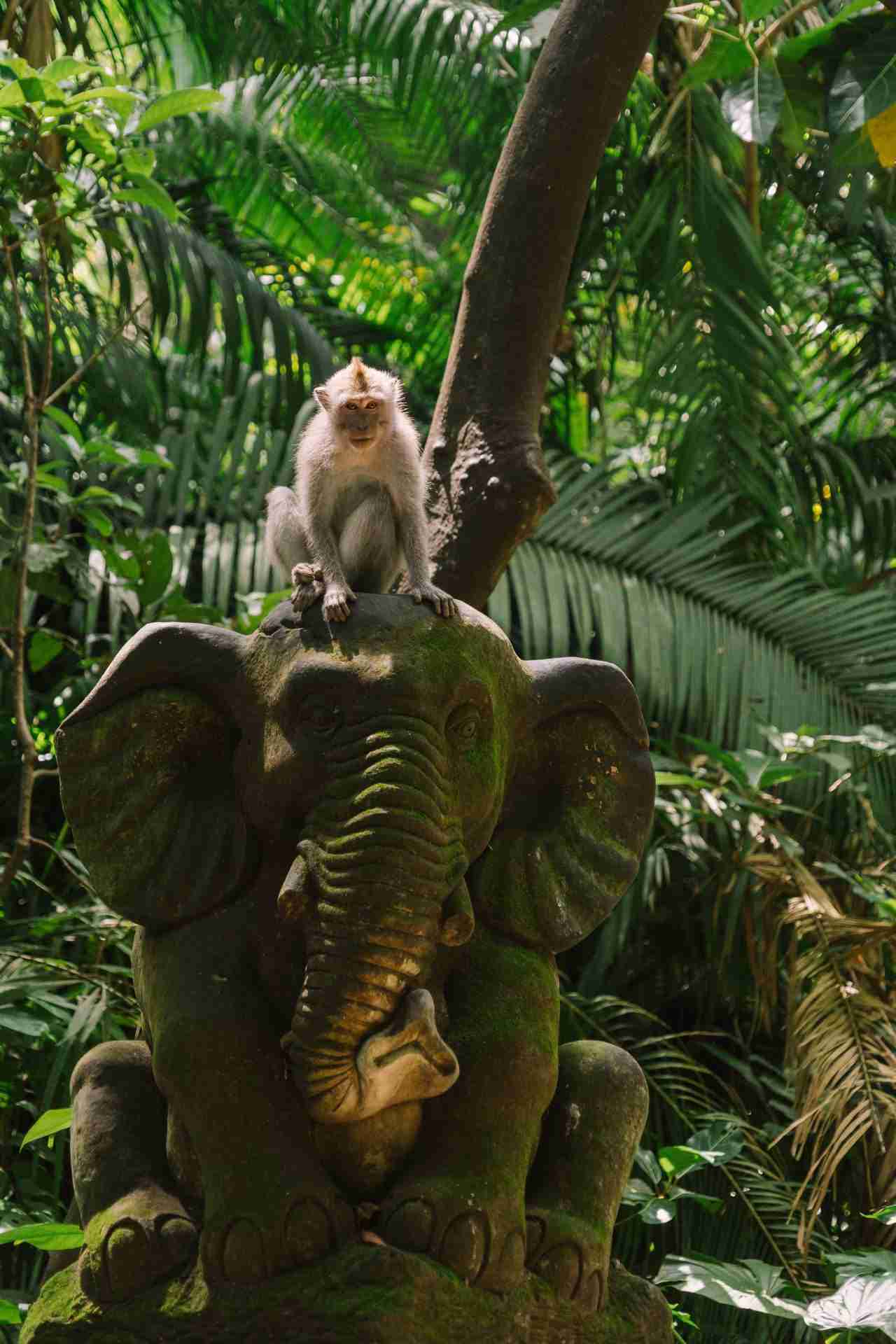 Macaque Atop an Elephant sculpture-Photo by Mikhail Nilov