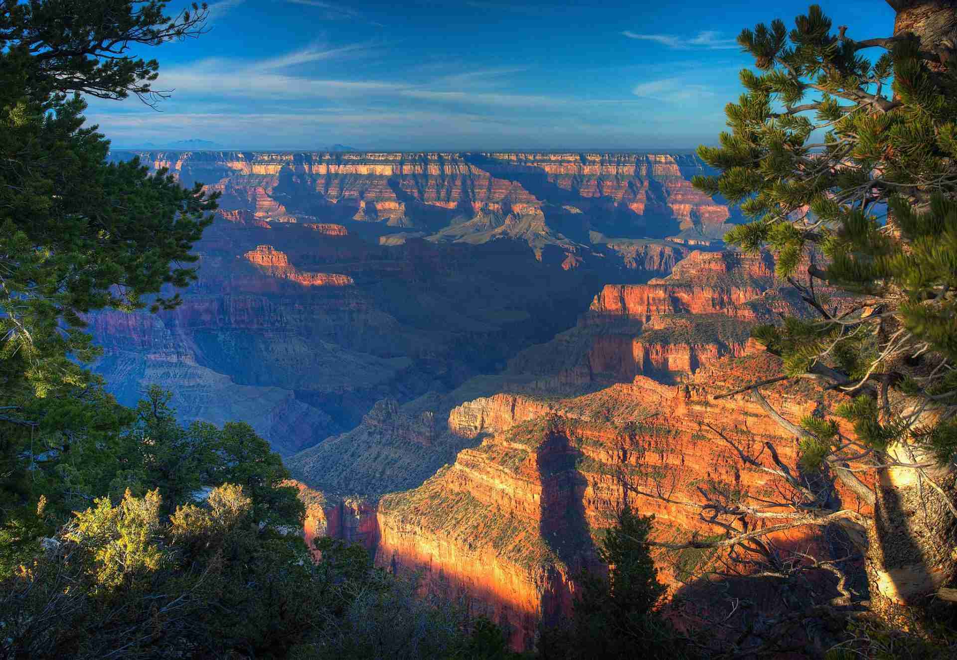Widforss Trail, North Rim, Grand Canyon National Park-Photo by Scott Taylor