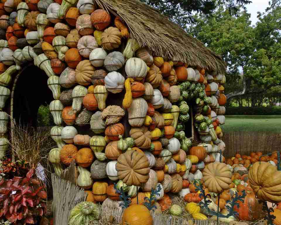 Pumpkin Village Gourd House – Photo by Allen Sheffield