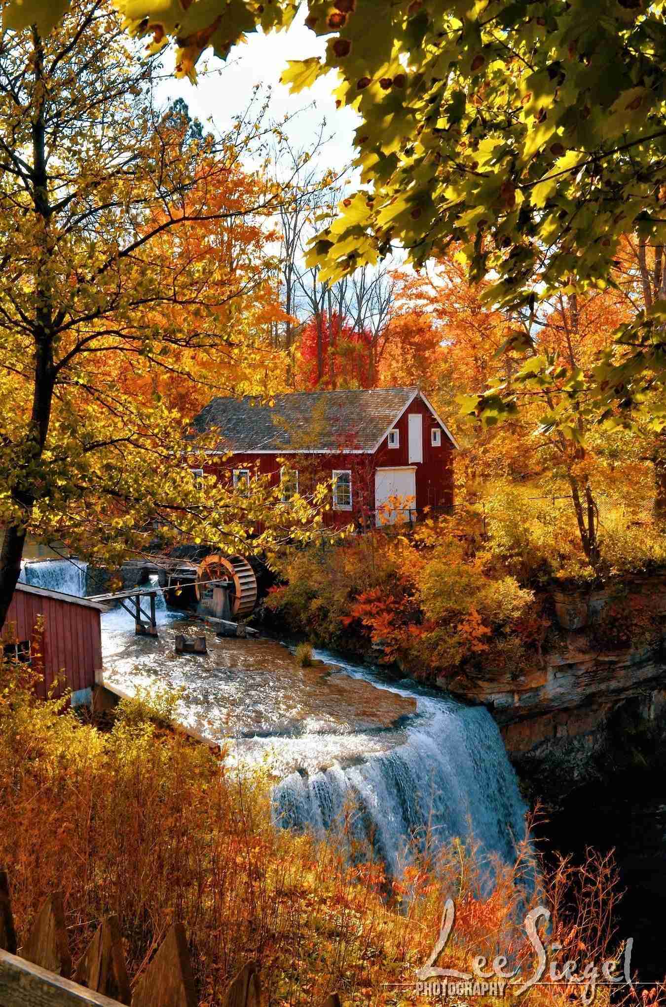 Morningstar Mill by Lee Siegel