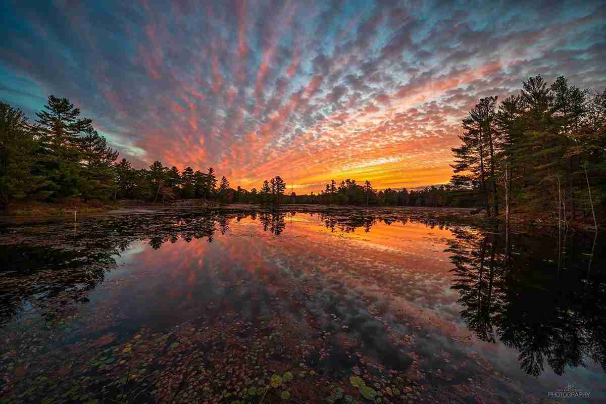 Mountain Road Pond by Dan Fleury