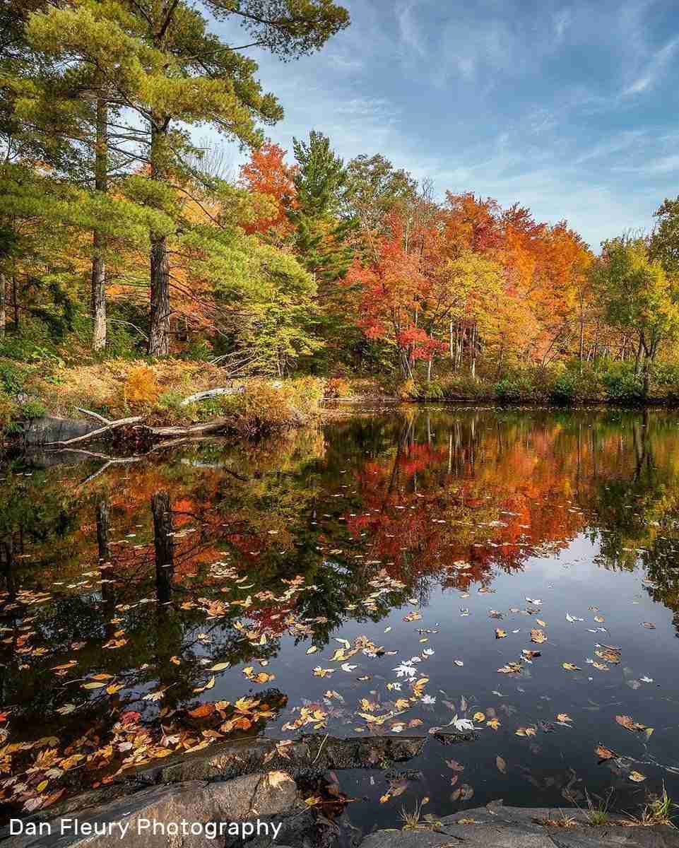 Skootamatta River View by Dan Fleury