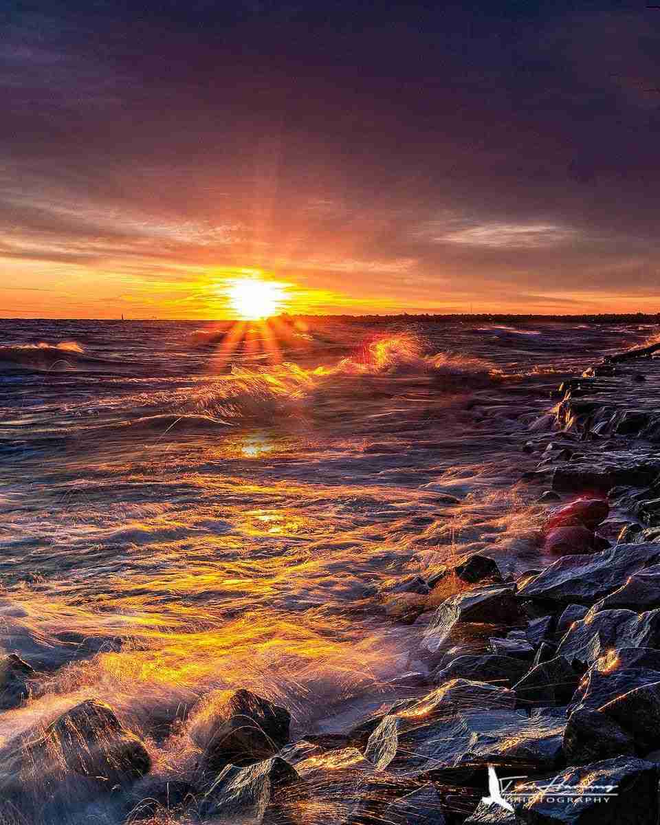 Craigleith Provincial Park by Tim Harding