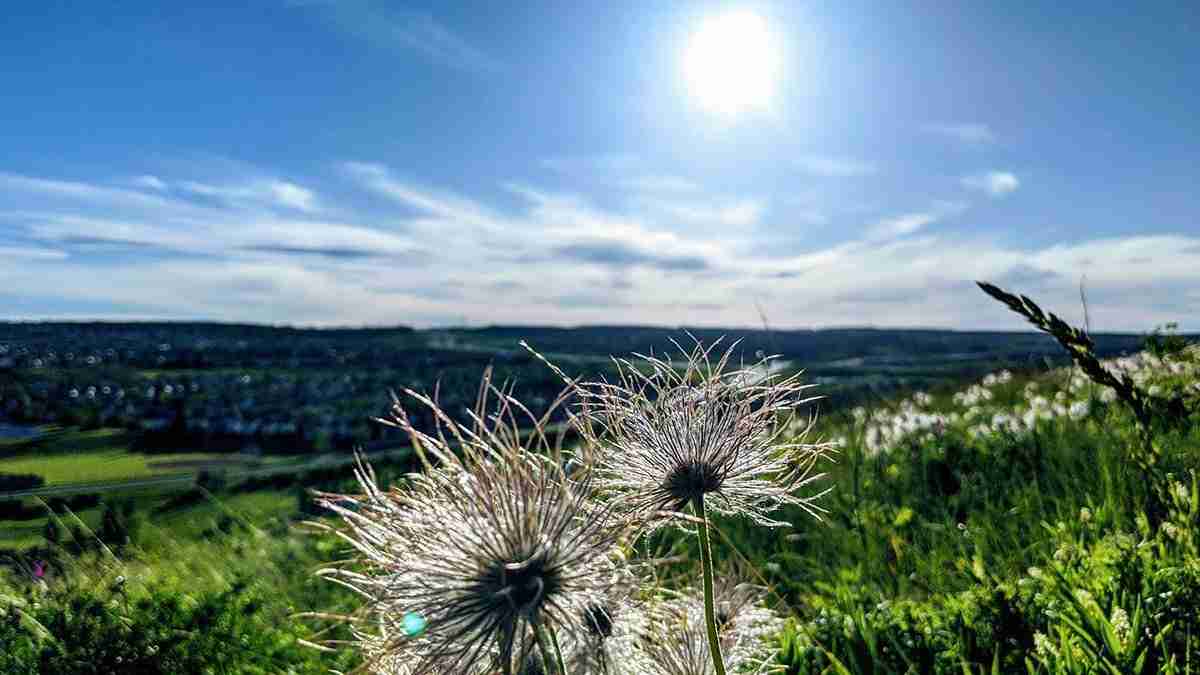 Panorama Hills View by Jordan Ostapiuk