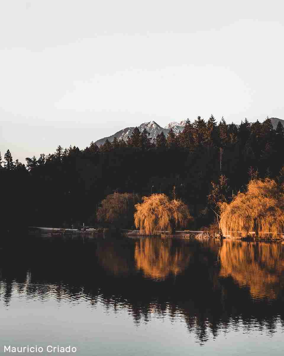 Lost Lagoon by Mauricio Criado