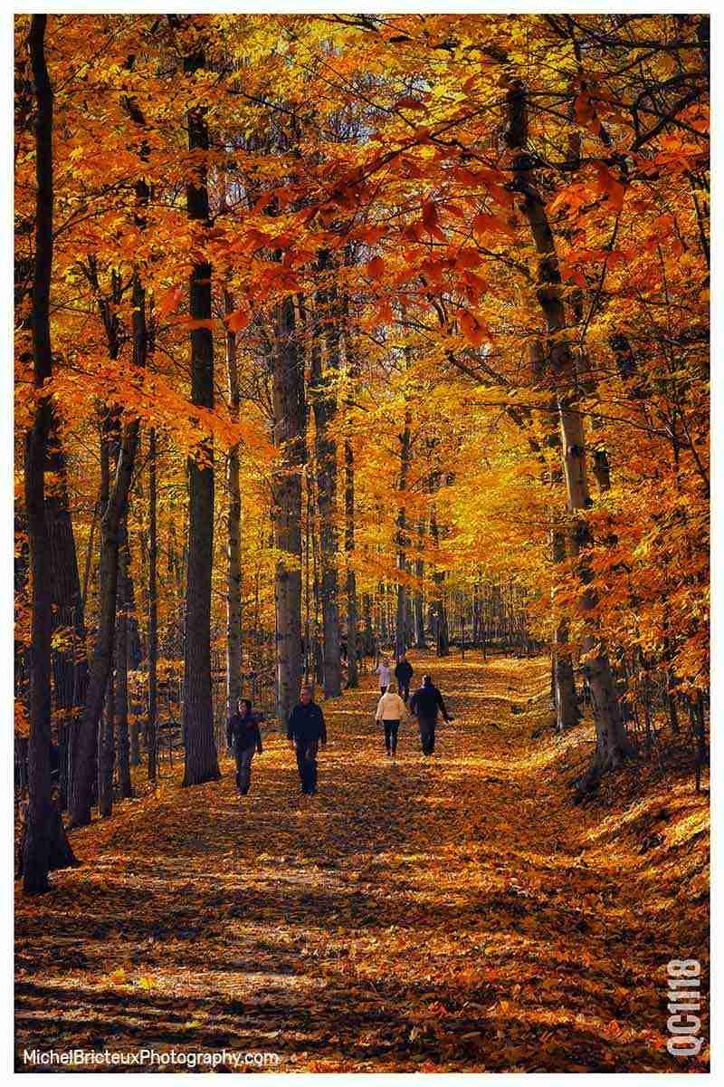Mont-Saint -Bruno – Photo by Michel Bricteux