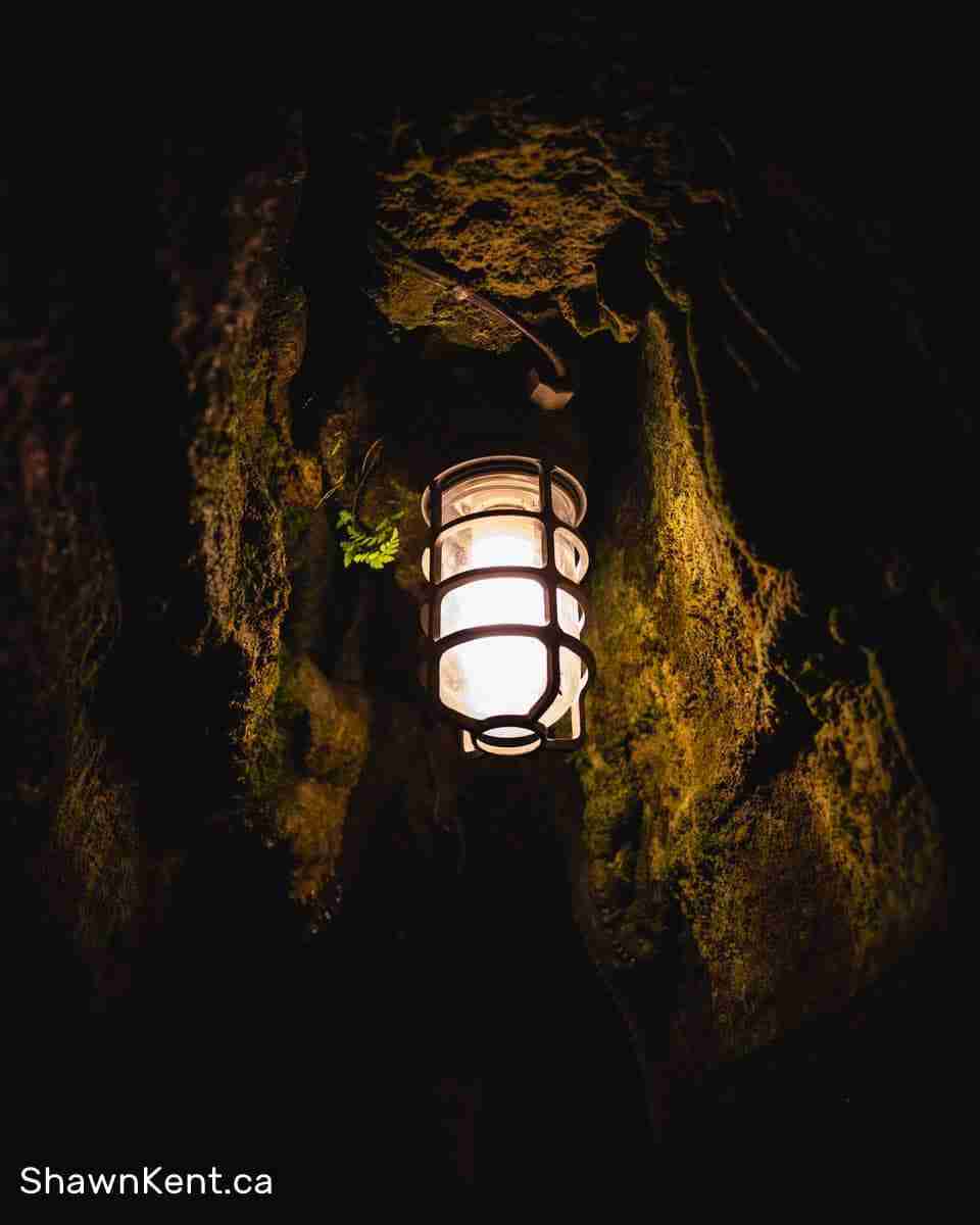 Bonnechere Caves by Shawn M Kent