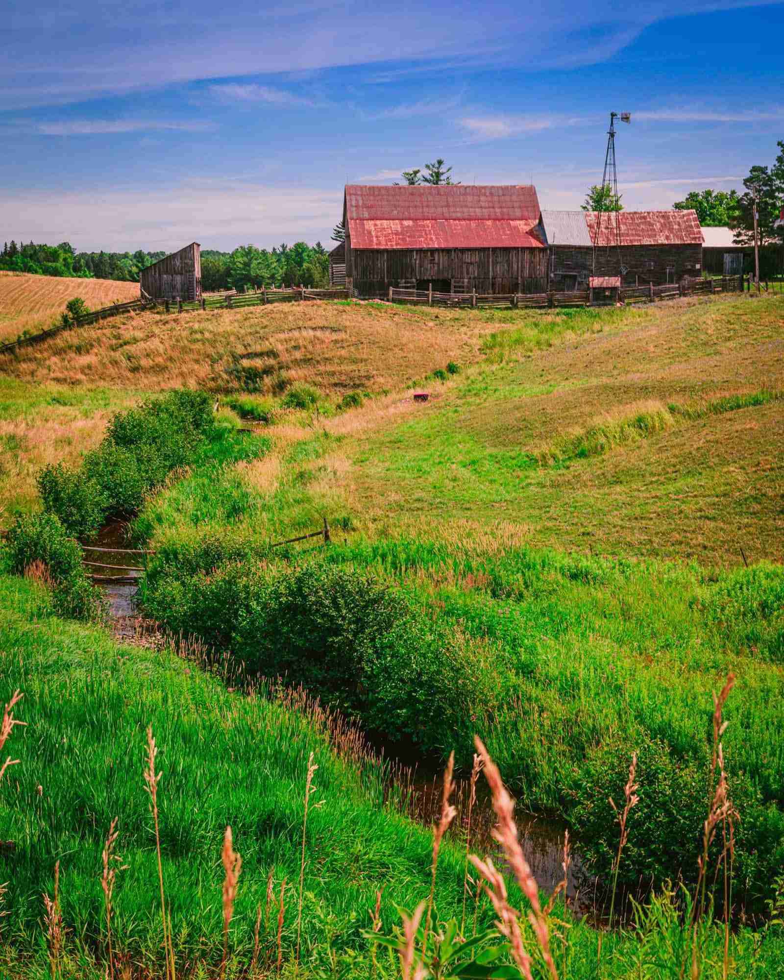 Photogenic Farm-Photo by Shawn M. Kent