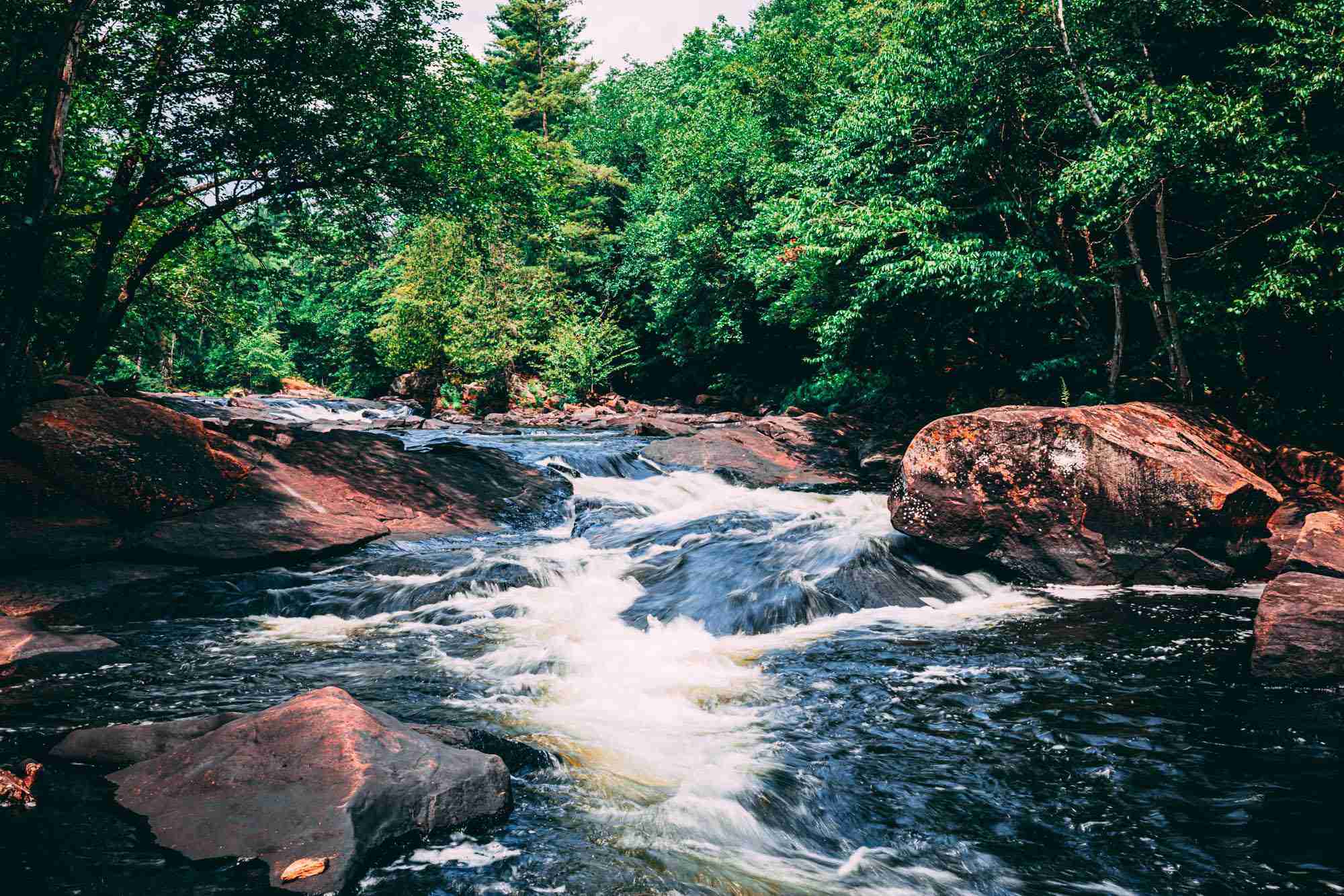Oxtongue Rapids-Photo by Shawn M. Kent