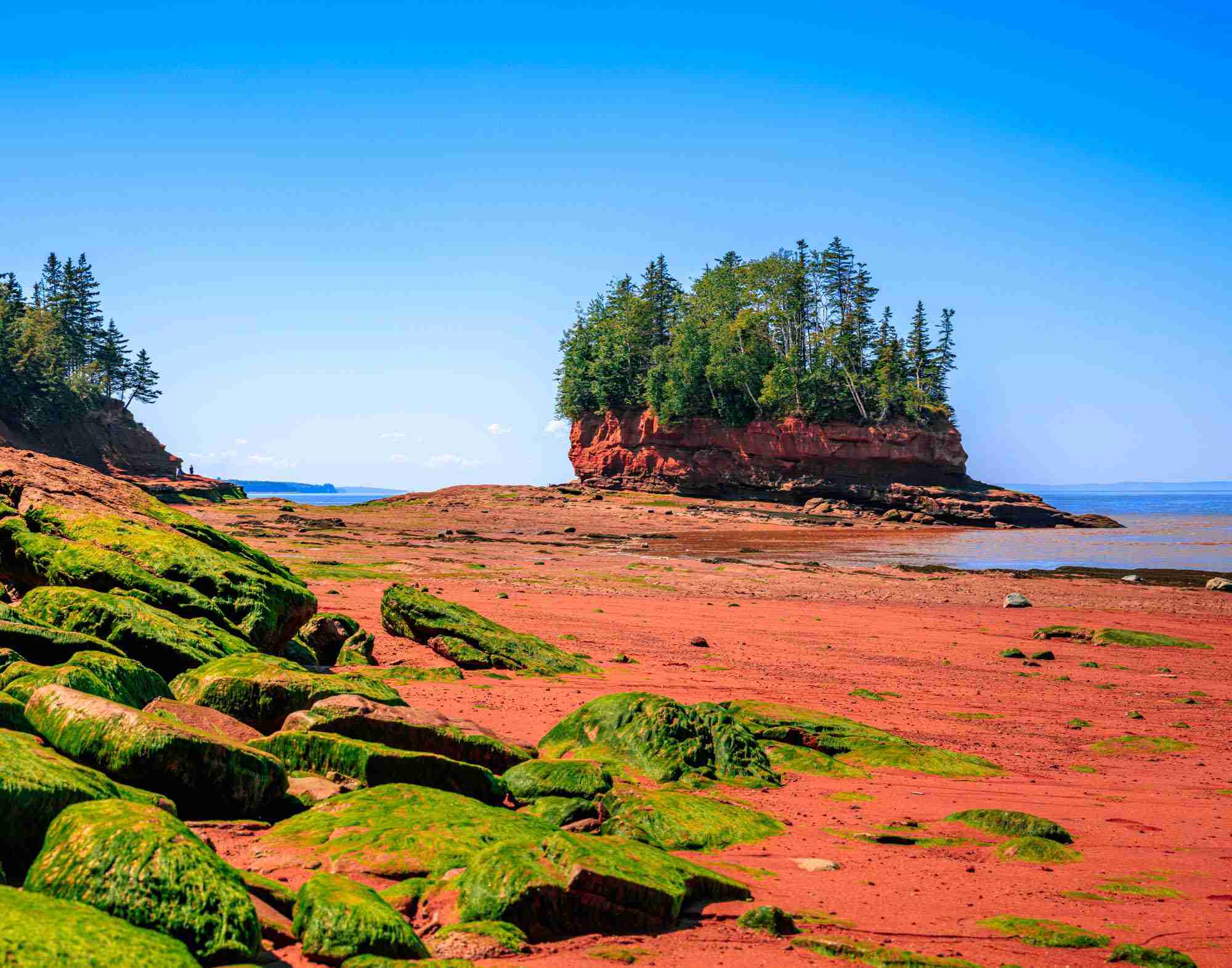 Burntcoat Head Park-Photo by Shawn M. Kent