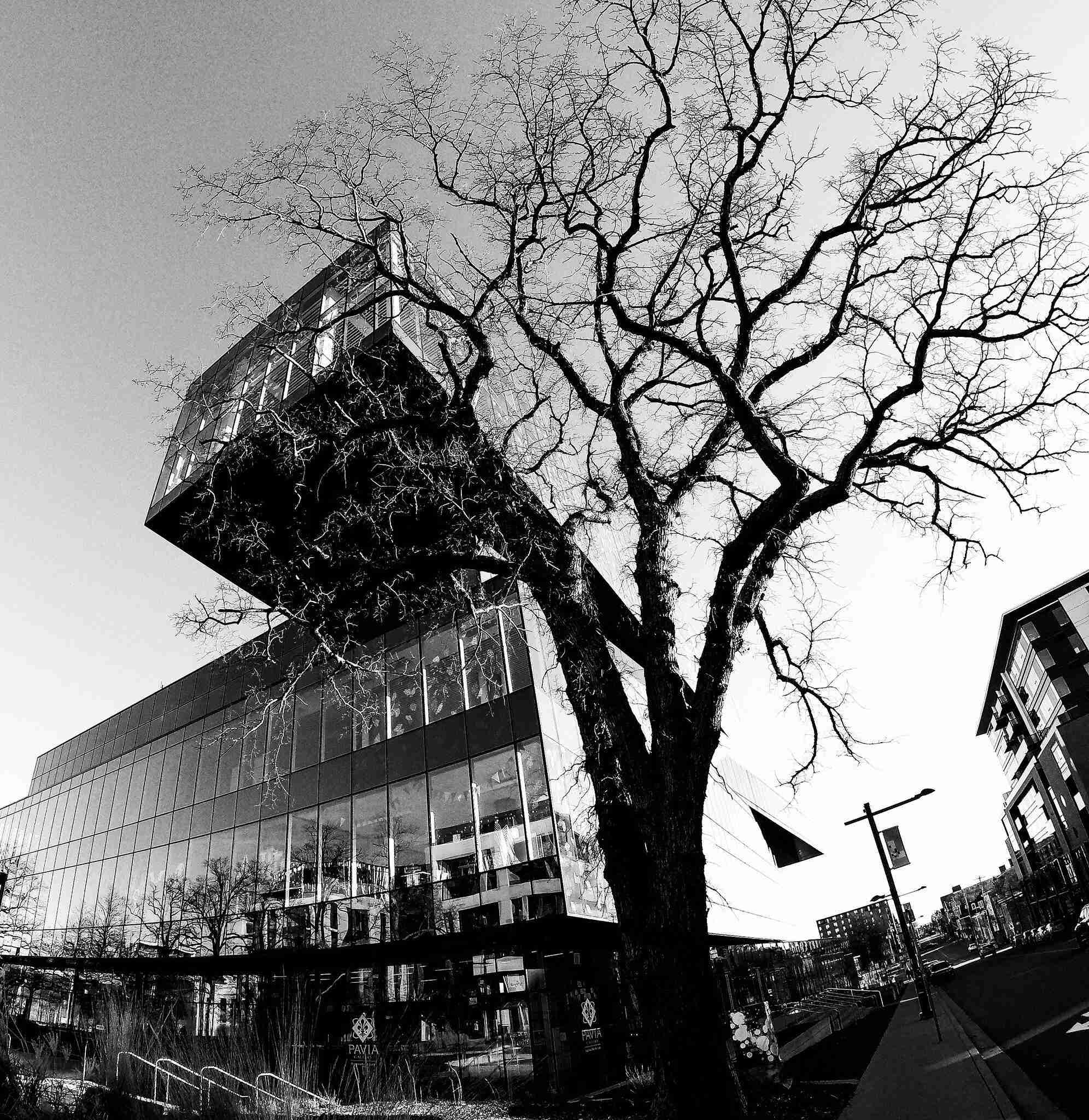 Halifax Central Library – Photo by Jason Thibault