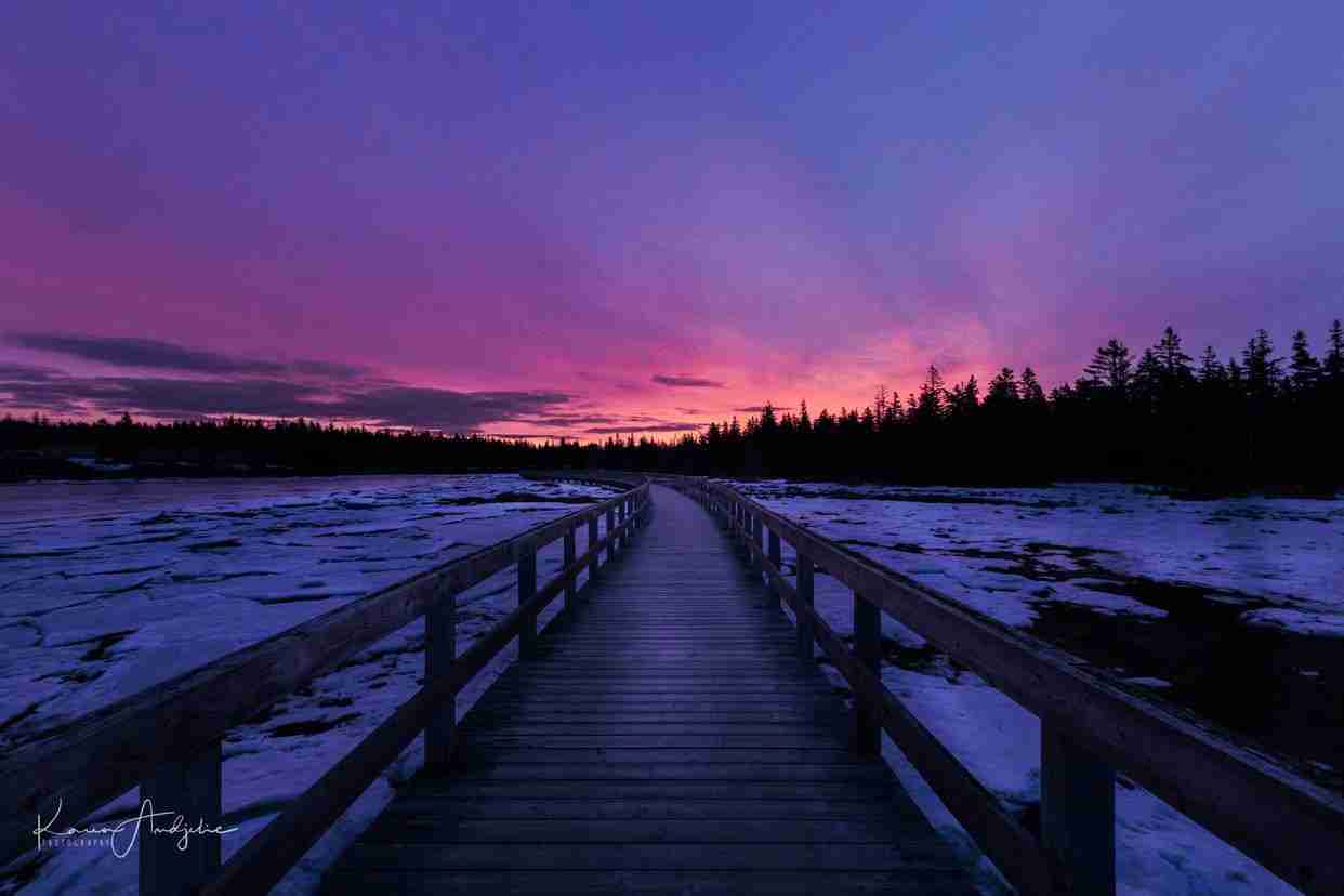 Rissers Beach-Photo by Karen Andjelic