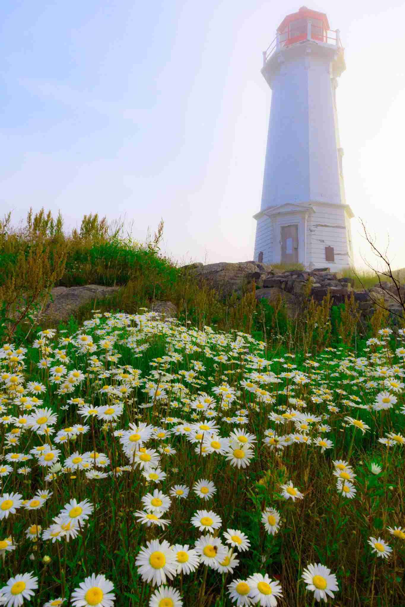 Louisbourg Lighthouse-Photo by Shawn M. Kent
