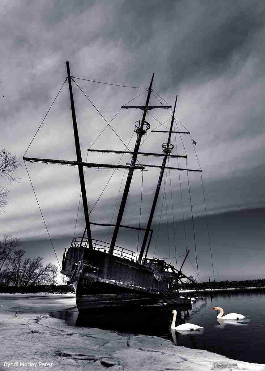La Grande Hermine by Cyndi Morley Perez
