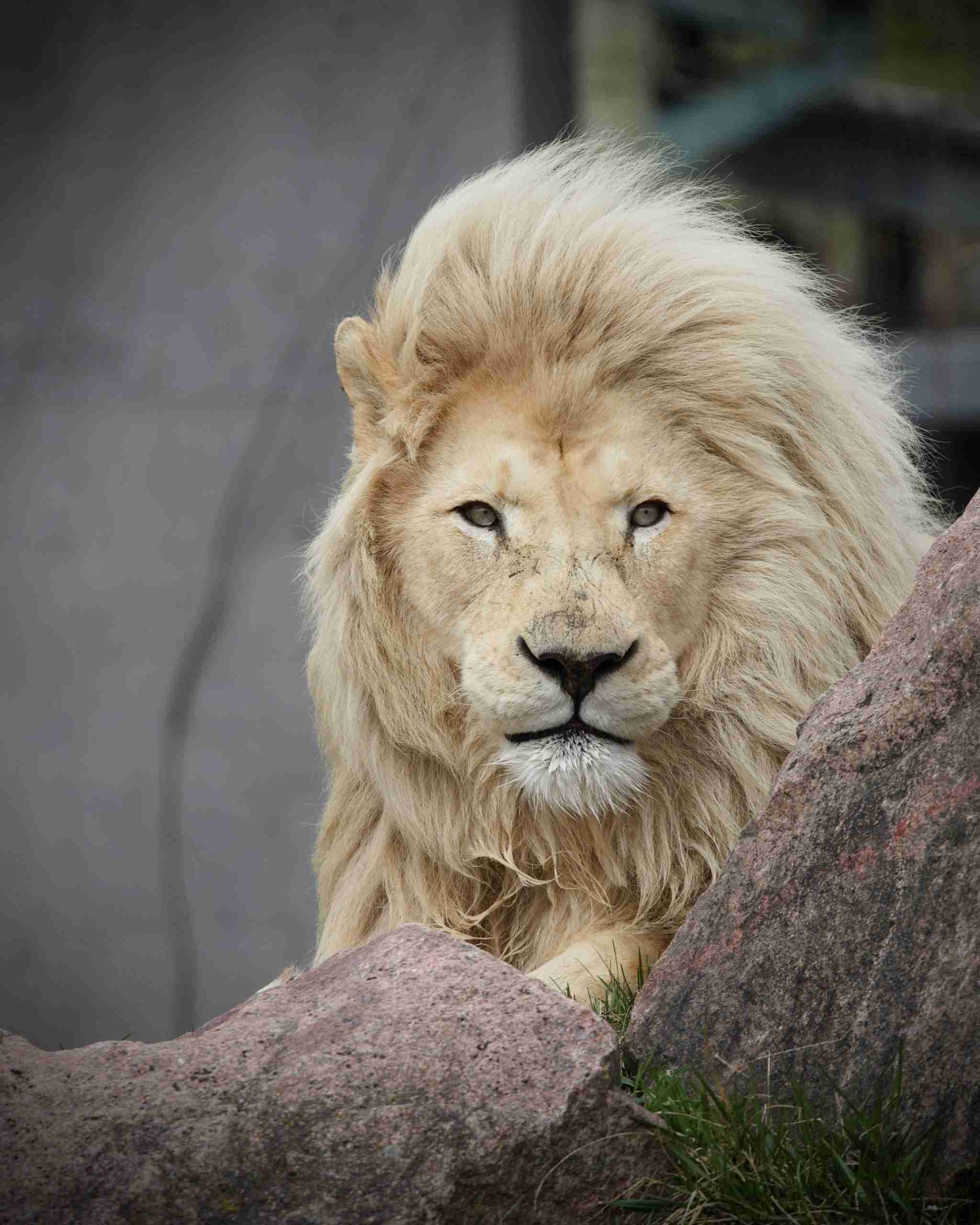 Toronto Zoo-Photo by Dan Pri