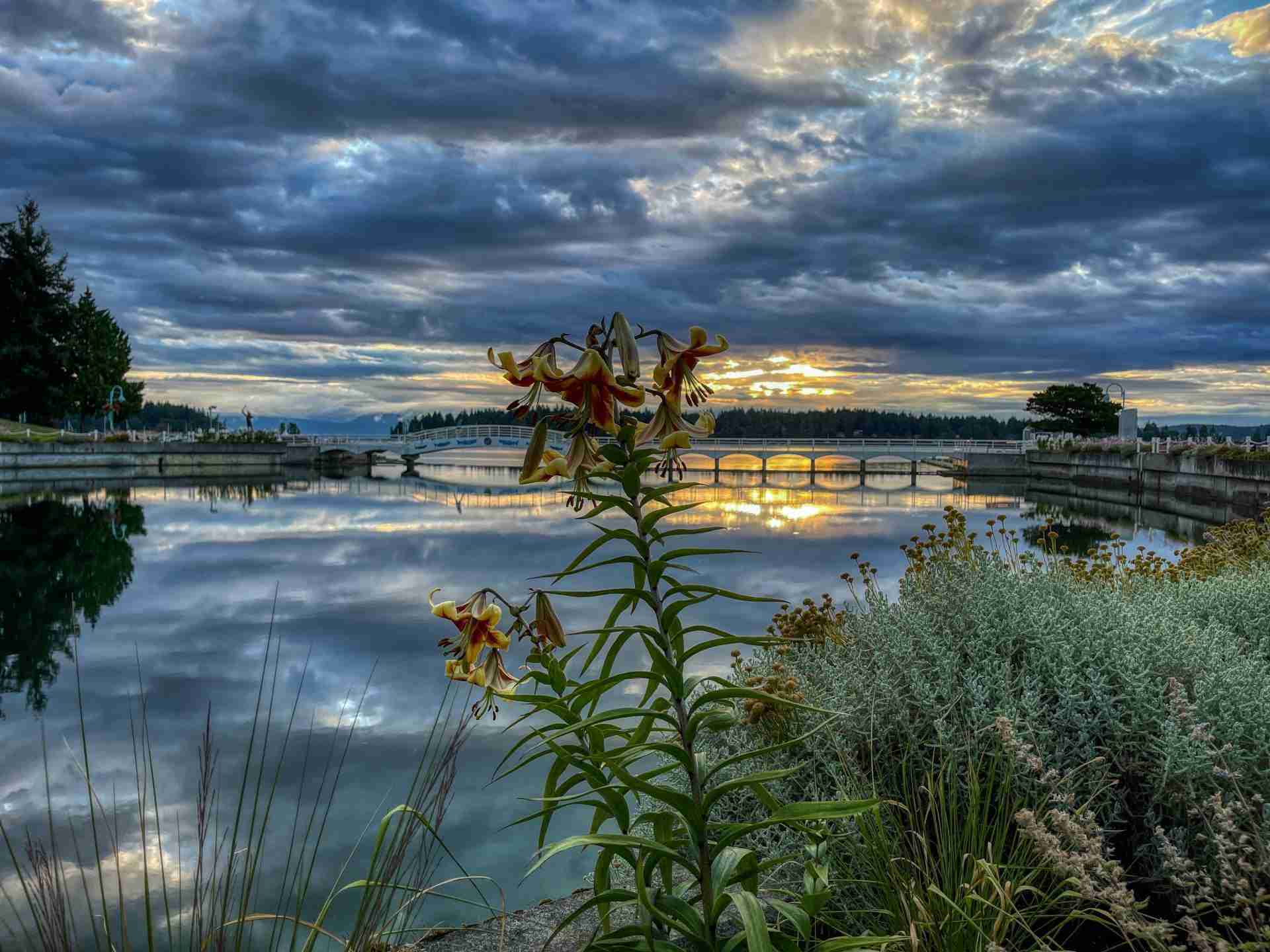 Swyalana Lagoon-Photo by Lyle Wilkinson