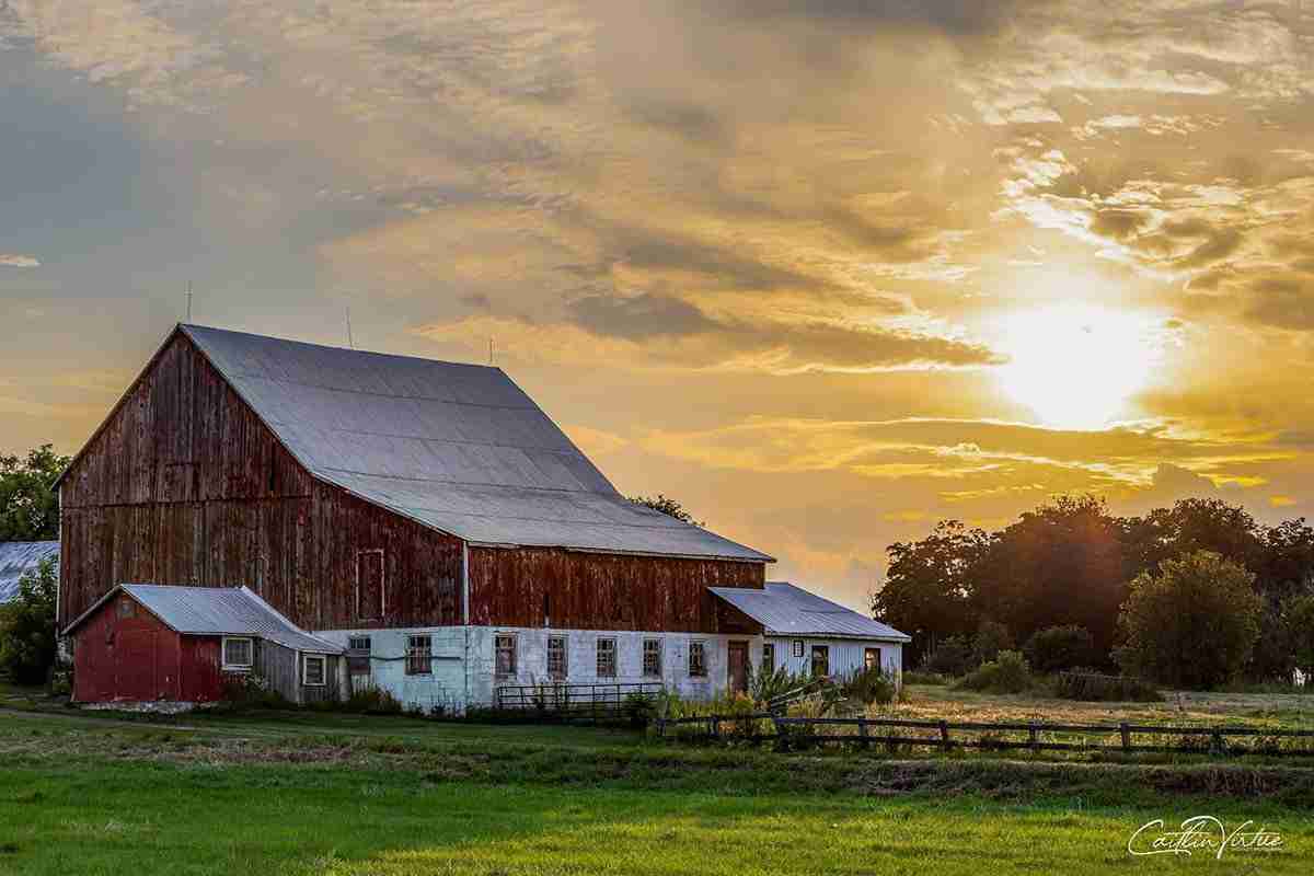 North Gower Barn by Caitlin Virtue