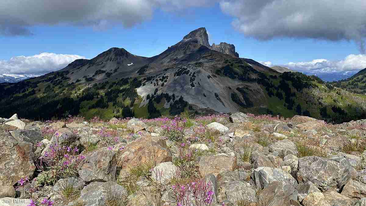 Panorama Ridge Trail by Jinil Patel