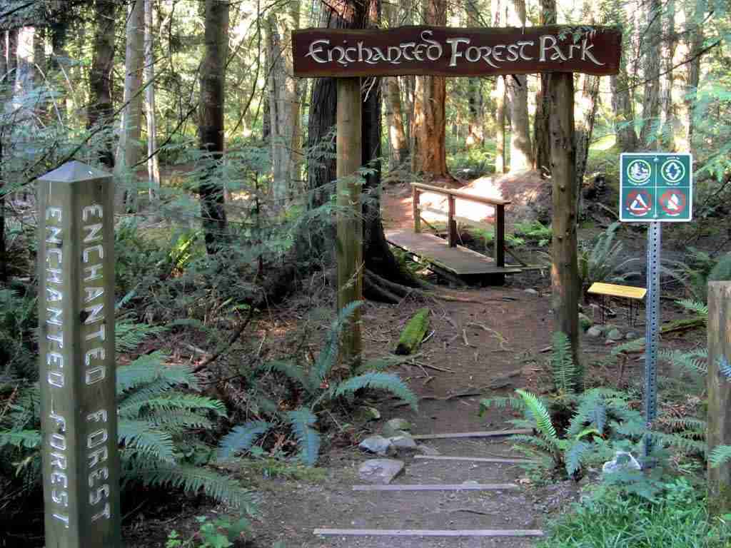 Enchanted Forest Nature Park – Photo by David Stanley