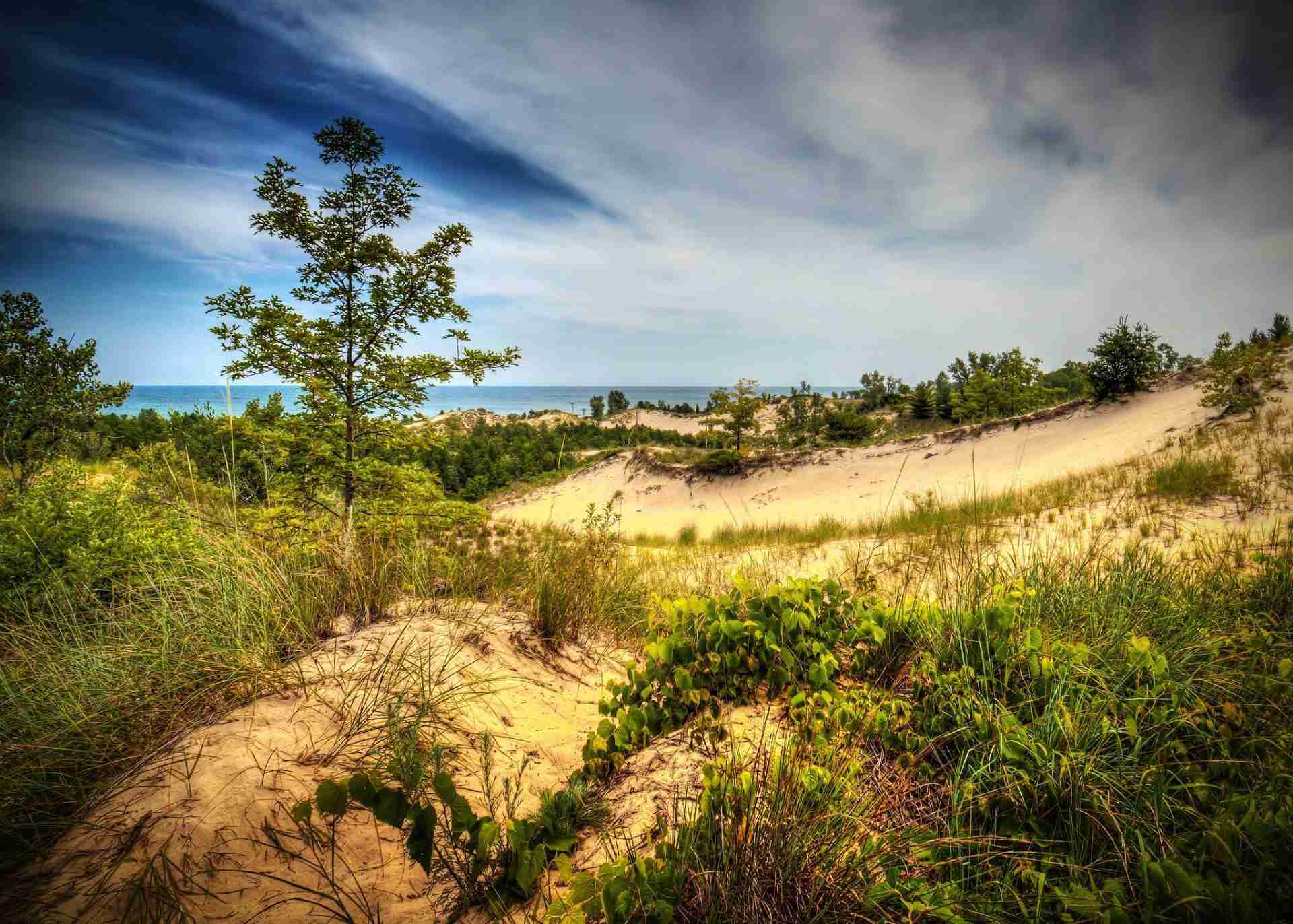 Indiana Dunes State Park-Photo by Todd Petrie