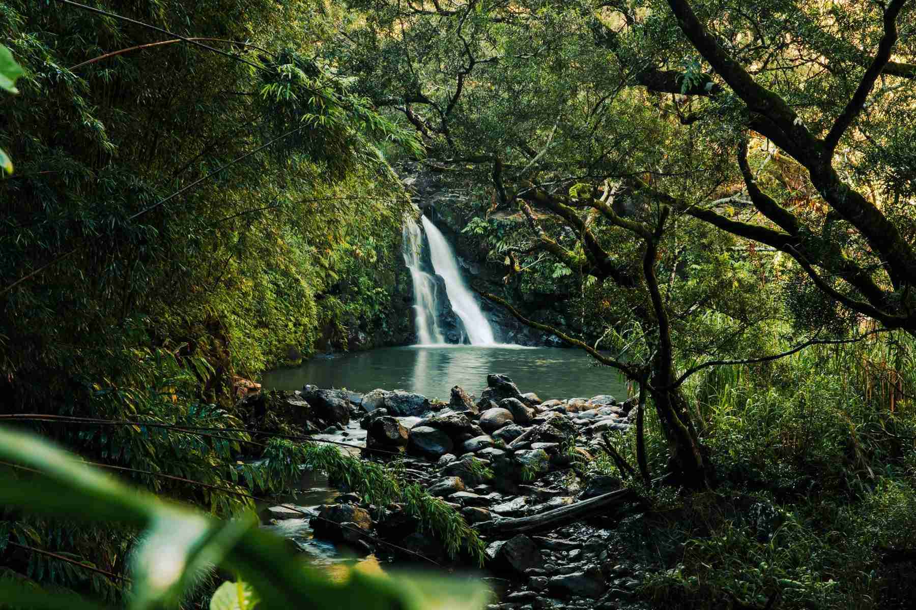 Haipua’ena Falls-Photo by Shawn M. Kent