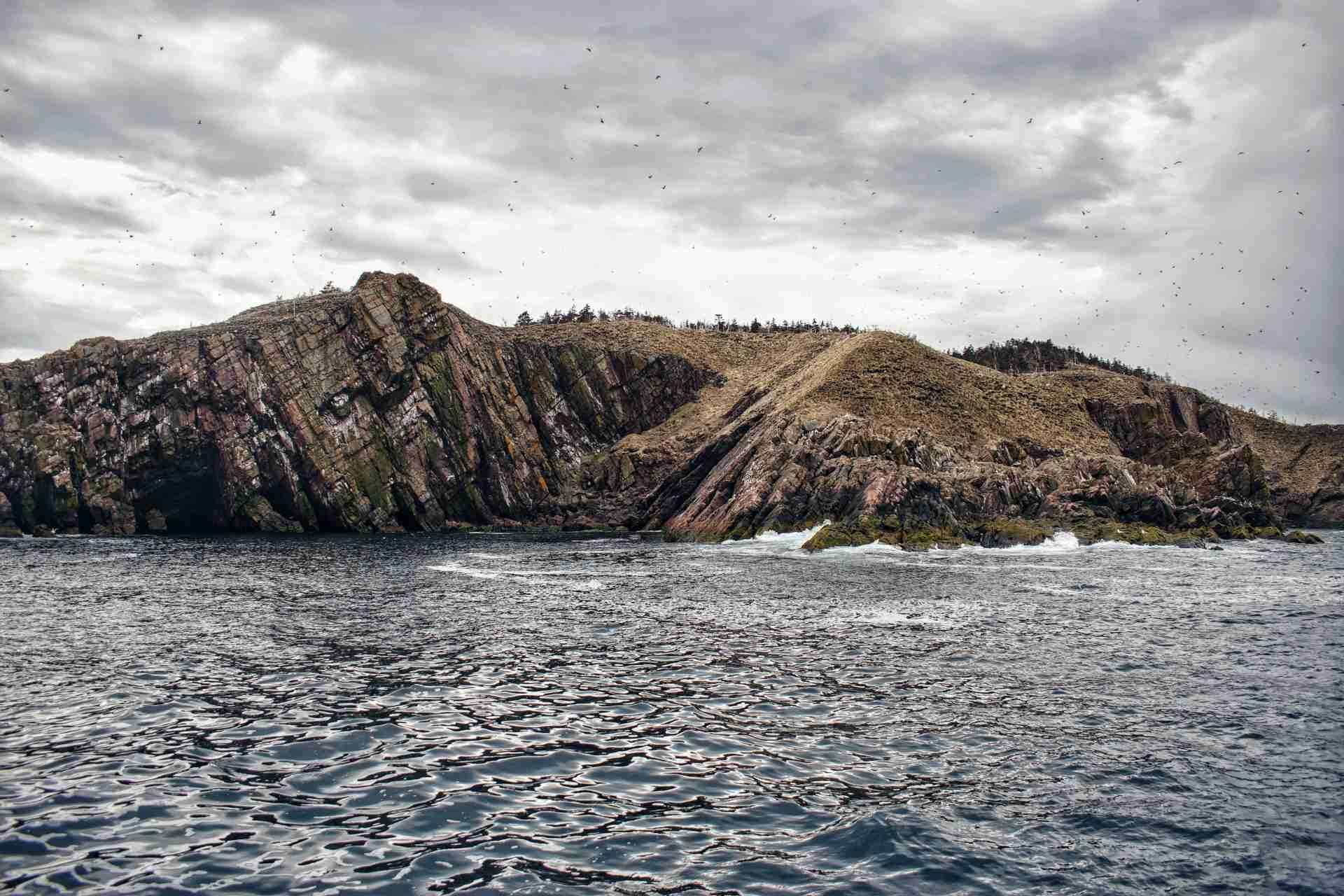 Witless Bay Ecological Reserve-Photo by Sean McEvoy (Take A Pic Photos)