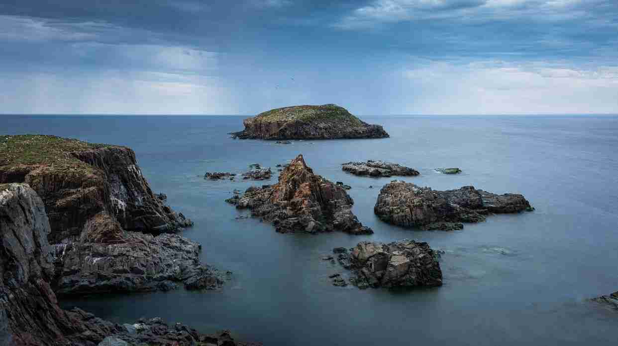 Elliston Puffin Viewing Site-Photo by Sayantan Basu
