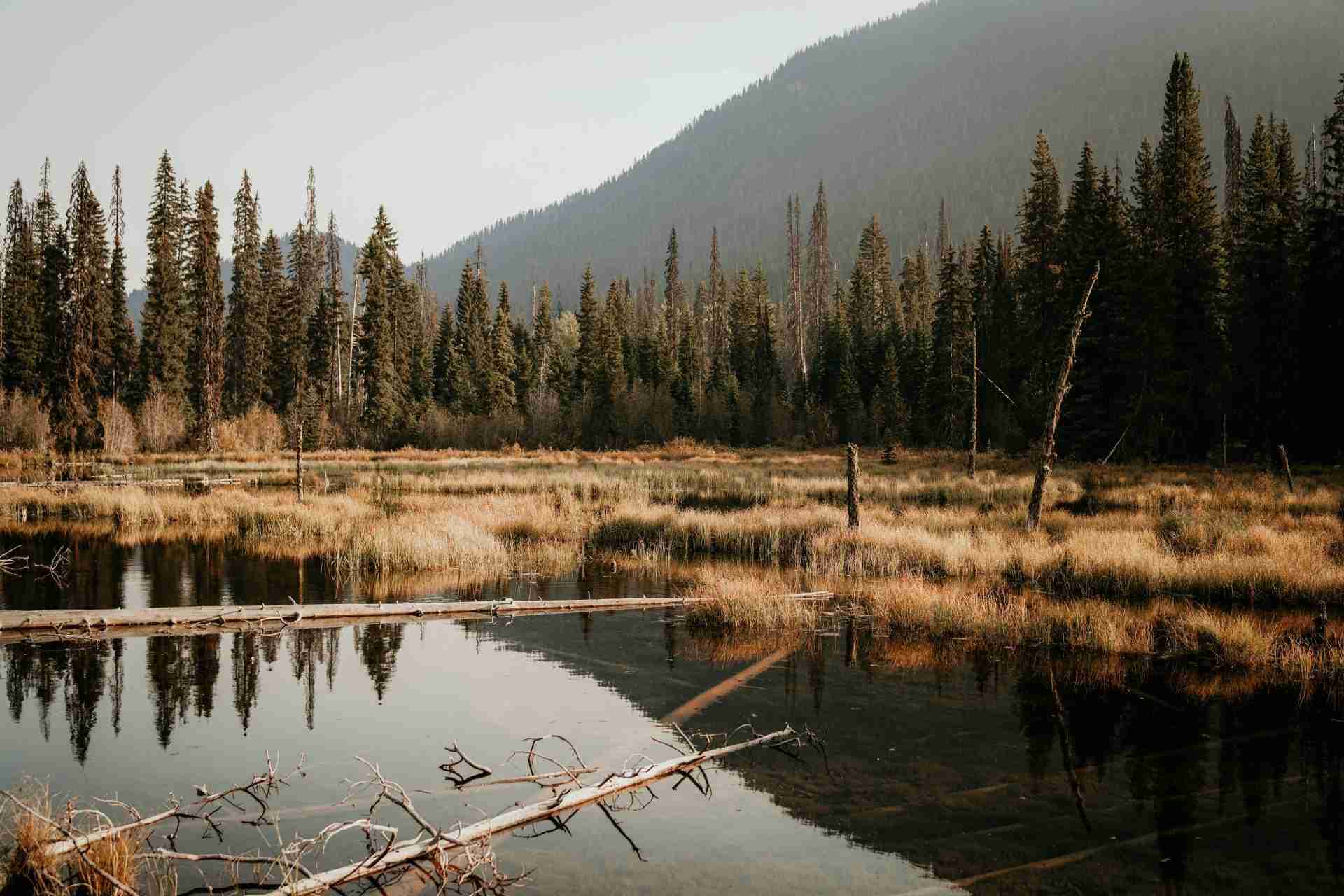 Manning Park-Photo by Agnieszka Stankiewicz