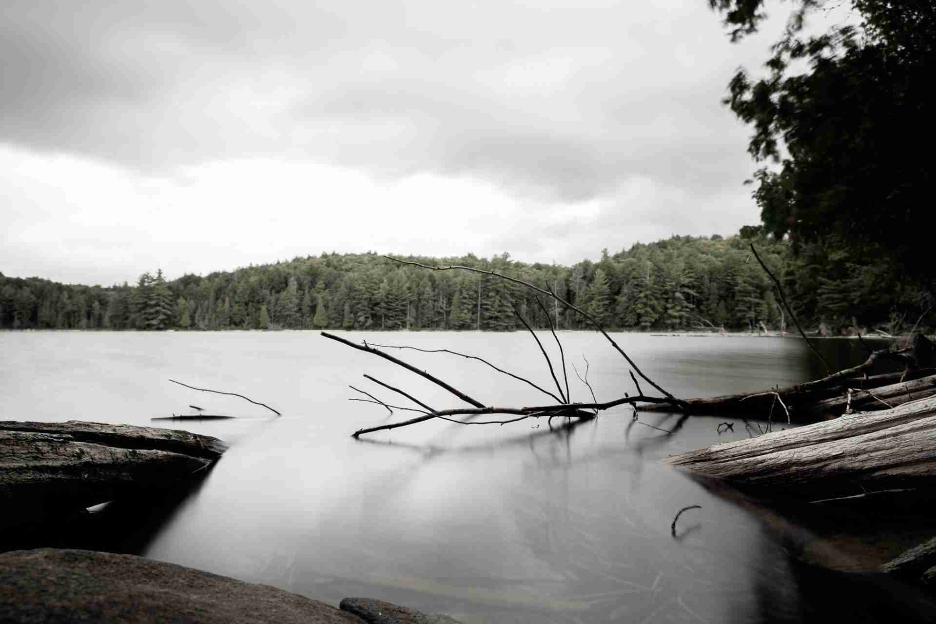 Peck Lake – Algonquin Provincial Park by teachandlearn