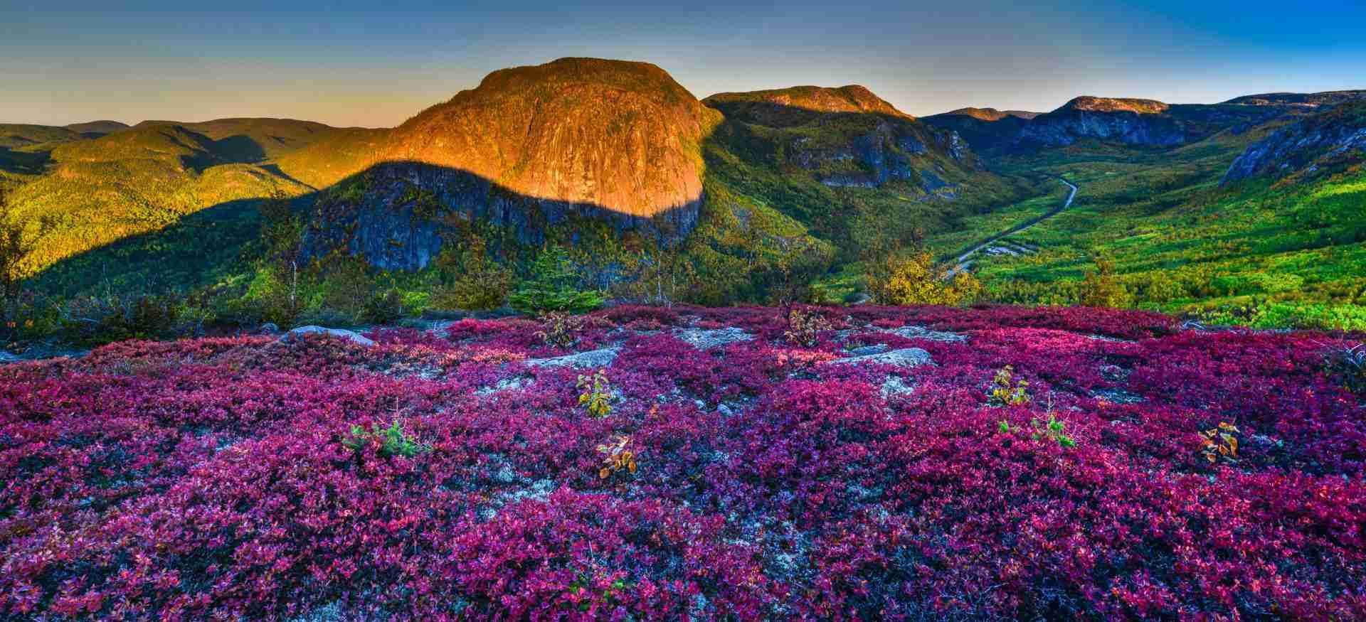 Grands-Jardins National Park by Nunzio Guerrera