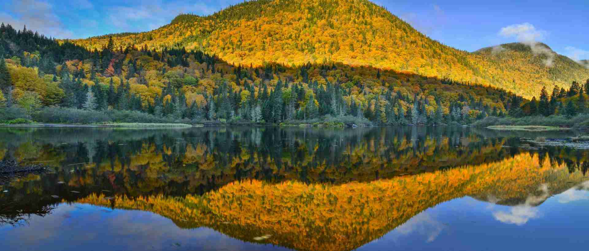Parc national de la Jacques-Cartier by Nunzio Guerrera