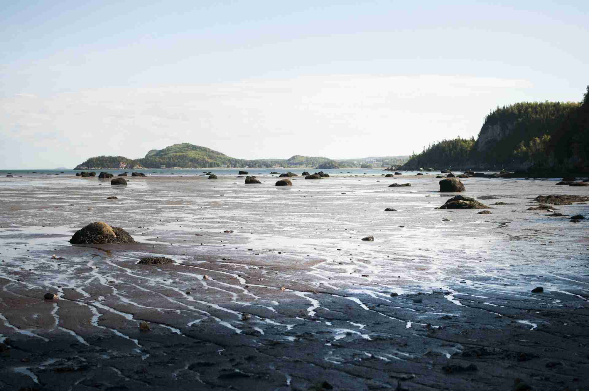 Parc National du Bic by Mathieu Côté