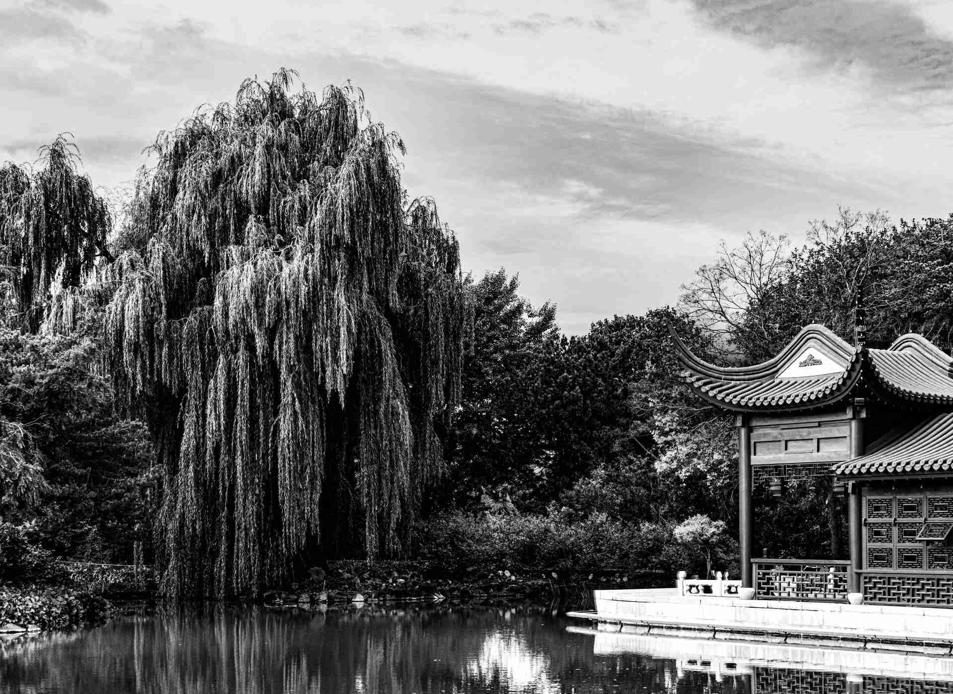 Montreal Botanical Gardens-Photo by Ally Griffin