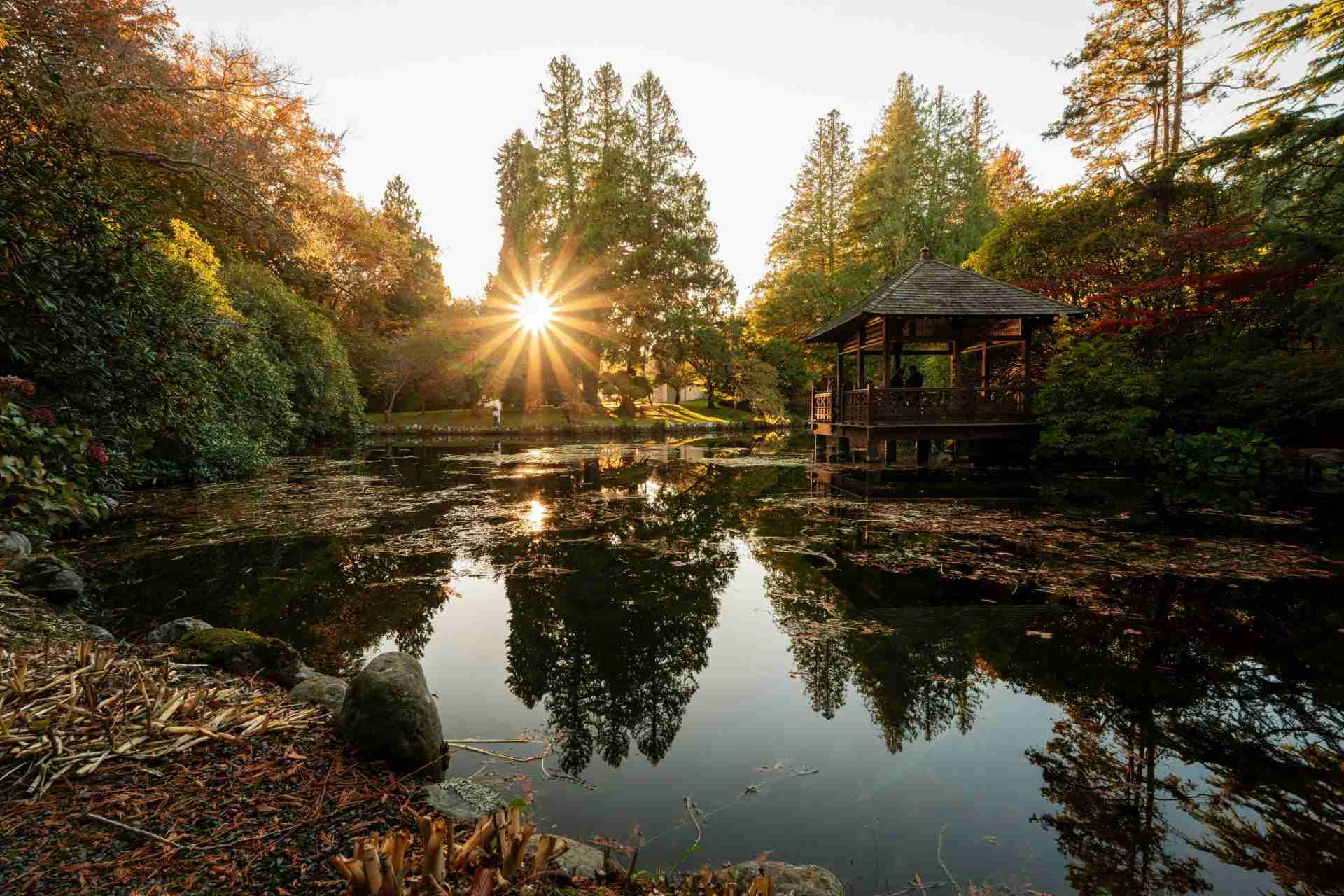 Royal Roads Japanese Garden by Vlad D