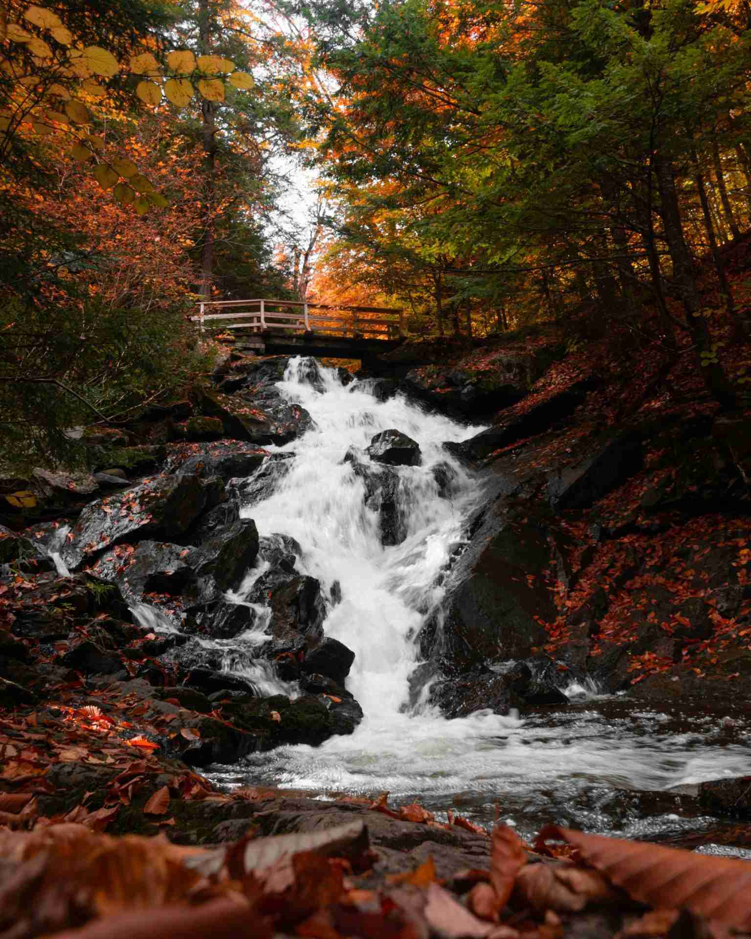 Dunlop Falls by Marc-Olivier Jodoin