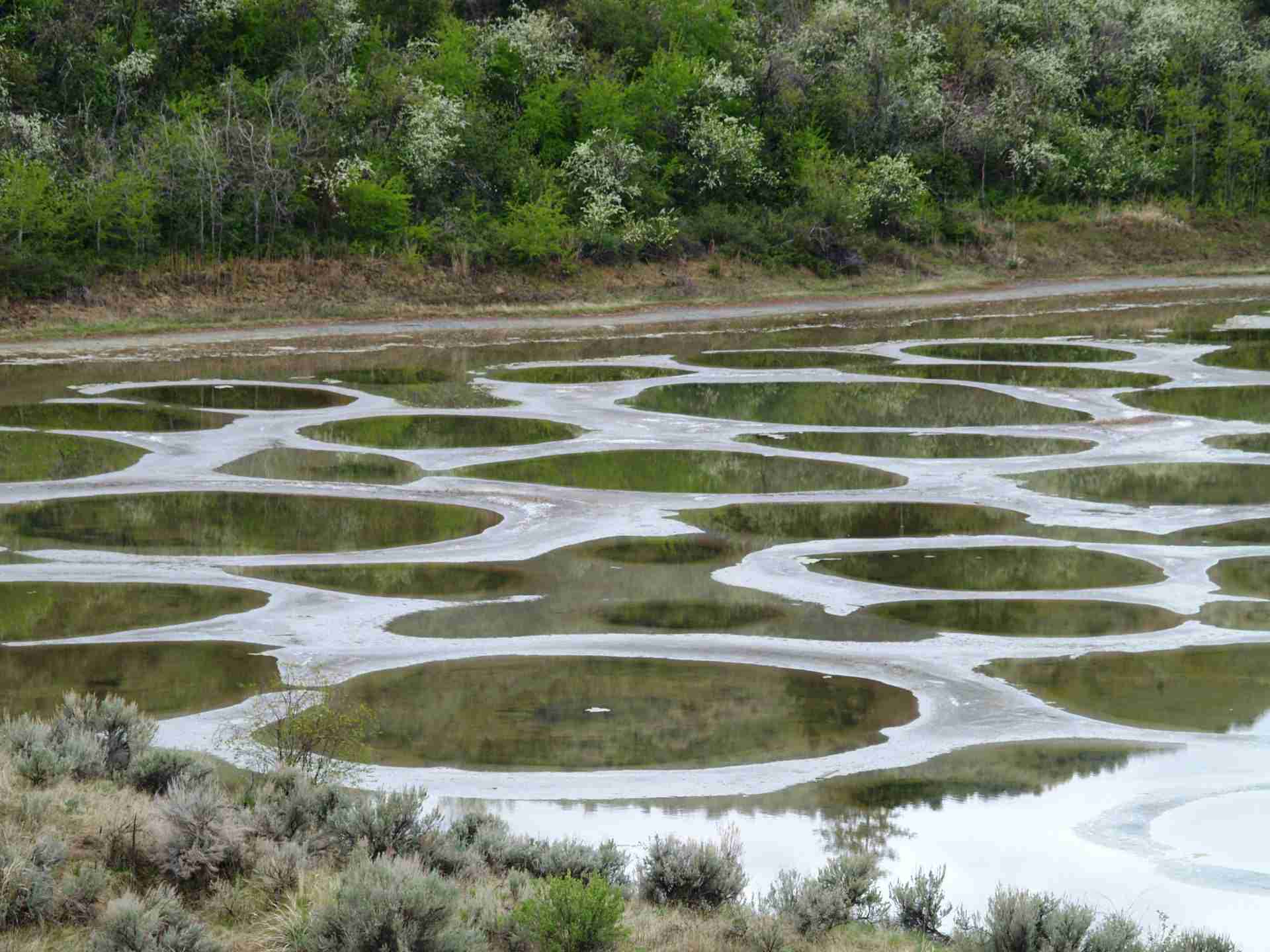 Spotted Lake by Jack Borno