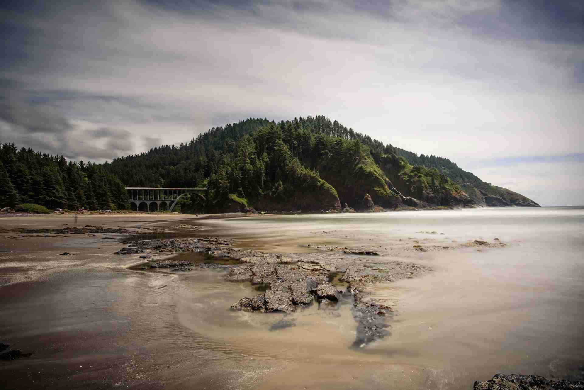 Heceta Beach and Cape Creek Bridge by Nathan Anderson