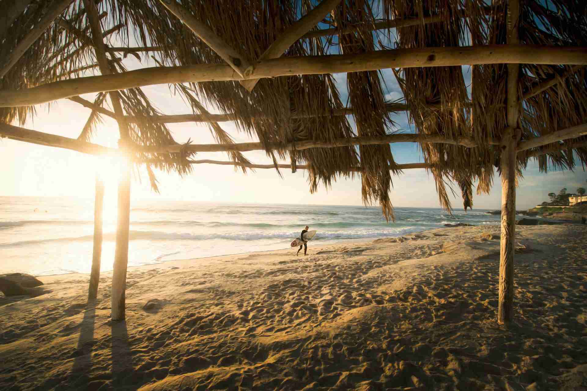 Windansea Surf Shack by frank mckenna