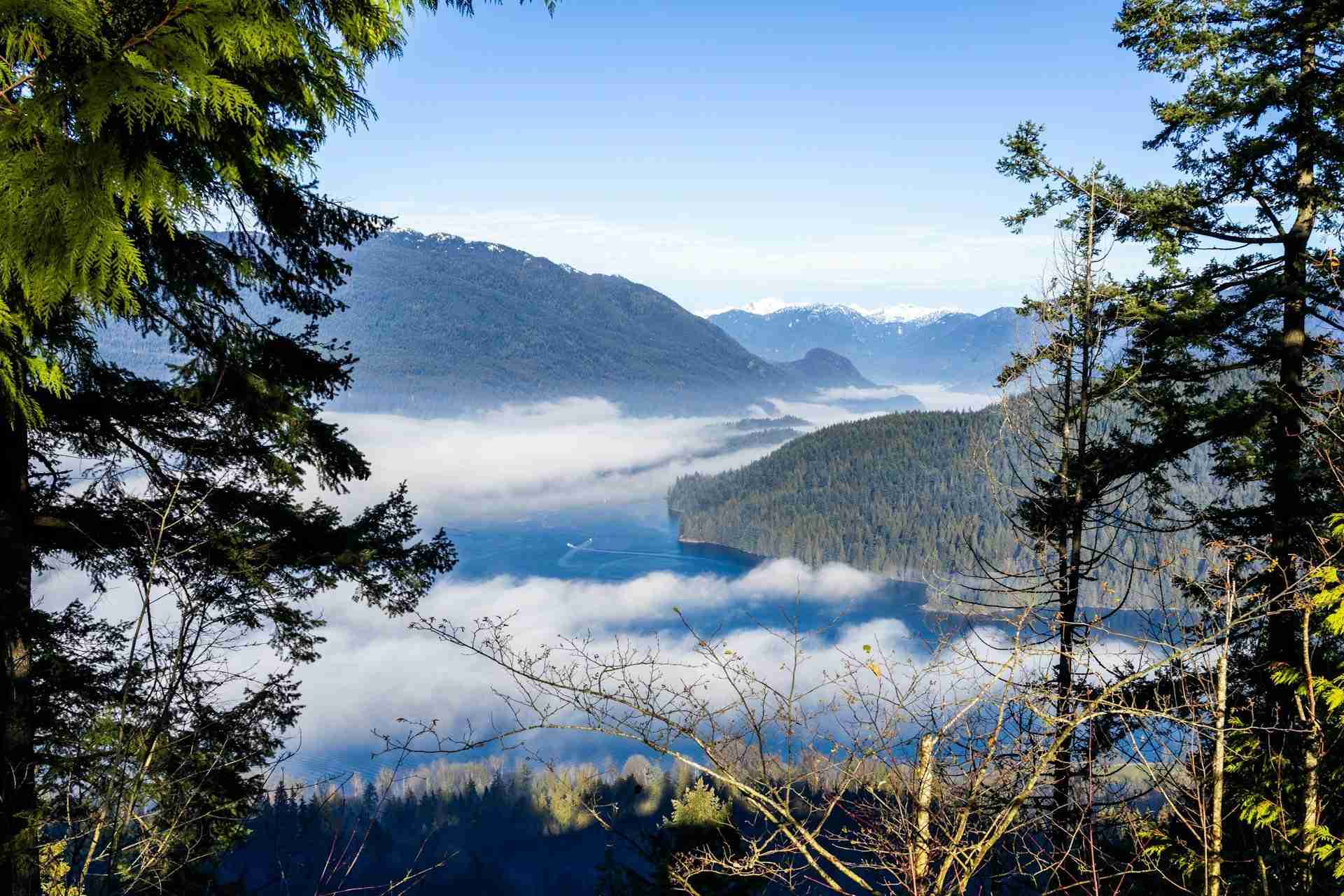 Burnaby Mountain by Chad Montgomery